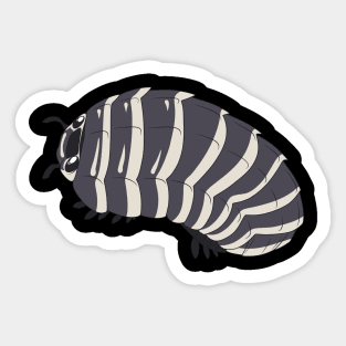 Zebra Isopod Sticker